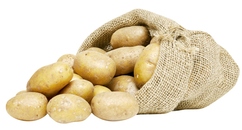 Pommes de terre de consommation primeur