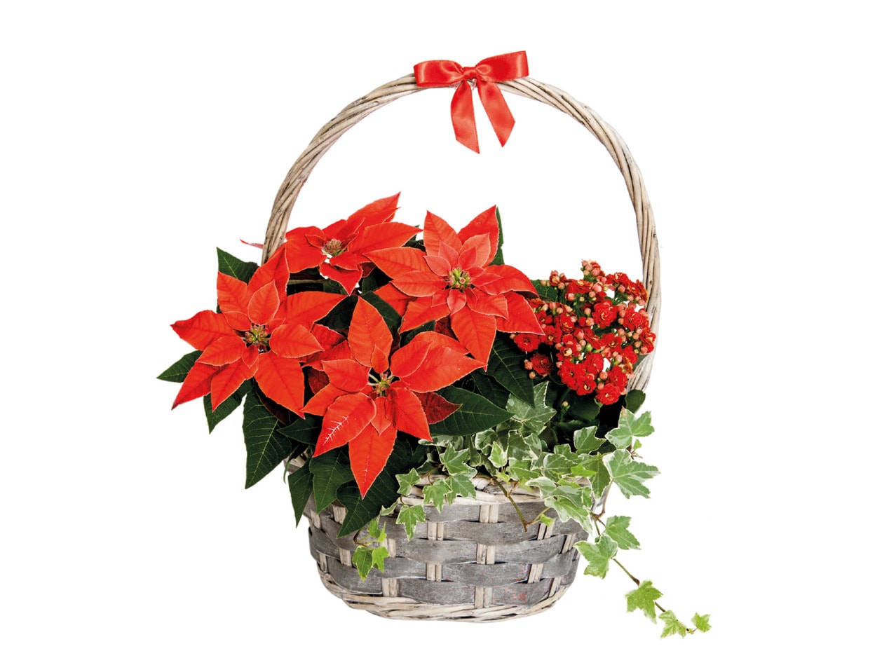 Christmas Gift Basket1