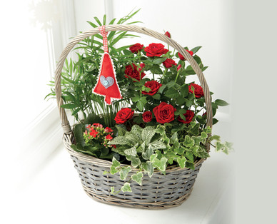 Christmas Plant Basket