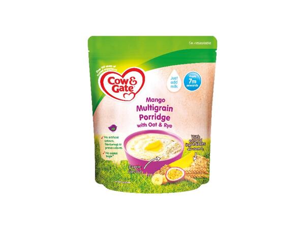 Mango Wholegrain Porridge