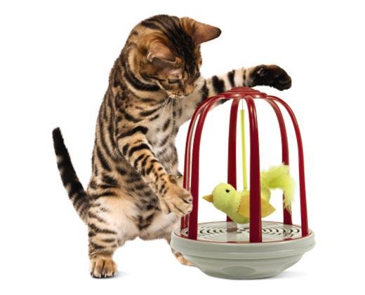 Heart to Tail 
 Busy Ball or Bird in a Cage Pet Toy
