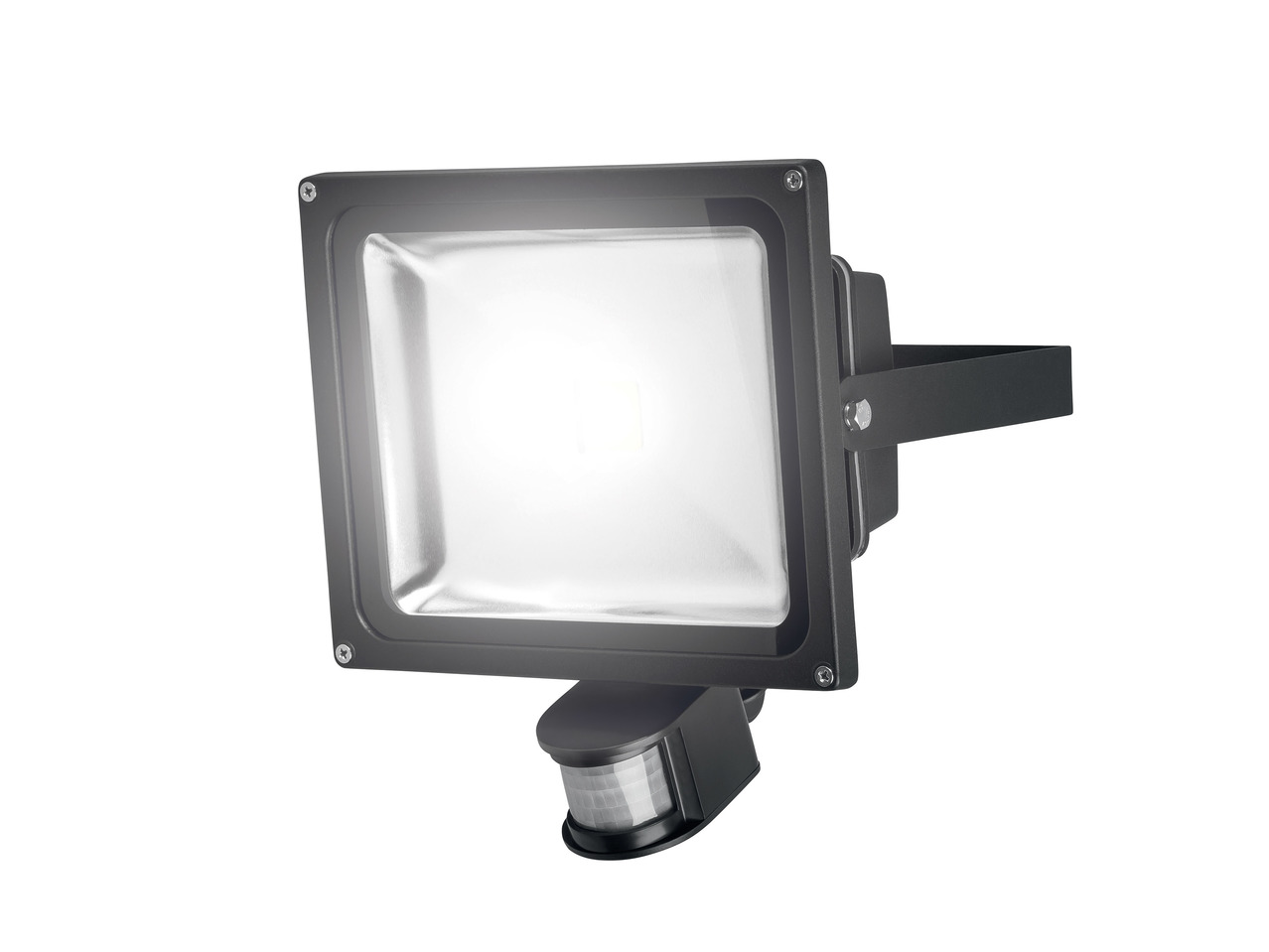 Livarno Lux 30W LED Spotlight1