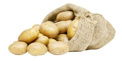 Pommes de terre primeur "Adora"