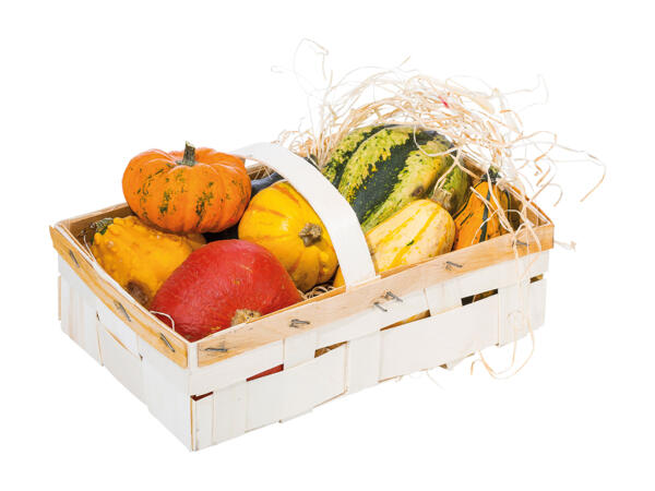 Ornamental Gourds in Wooden Tray