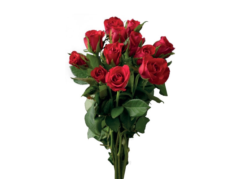 Dozen Sweetheart Roses - Available from 11th February