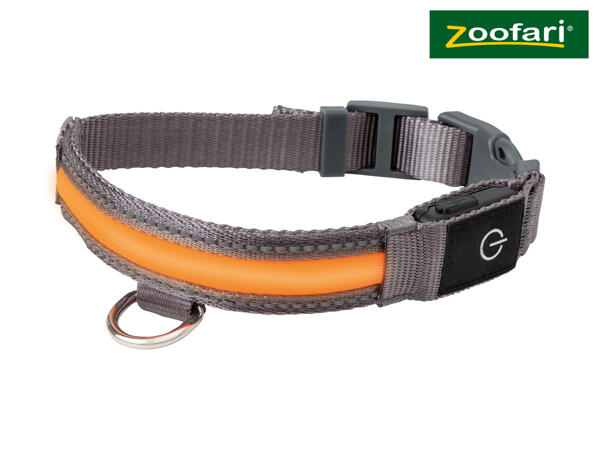 Zoofari Light-Up Dog Collar