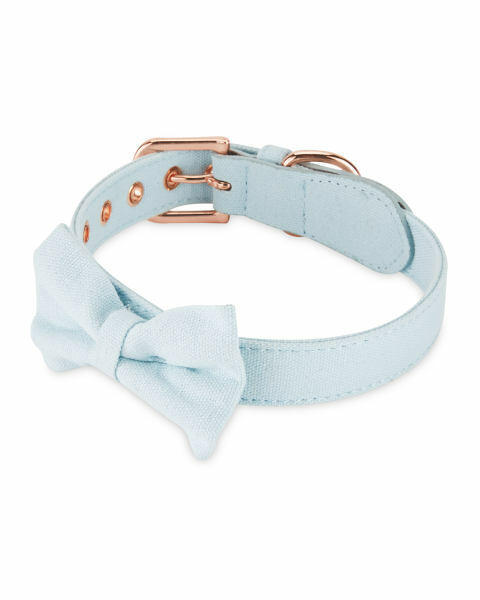 Blue Bow Tie Dog Collar