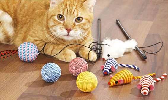8 jouets pour chat