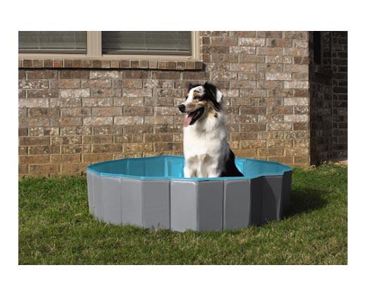 Heart to Tail 
 Large Collapsible Pet Pool