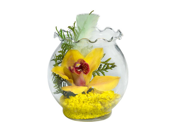 Orchid in a Glass Vase