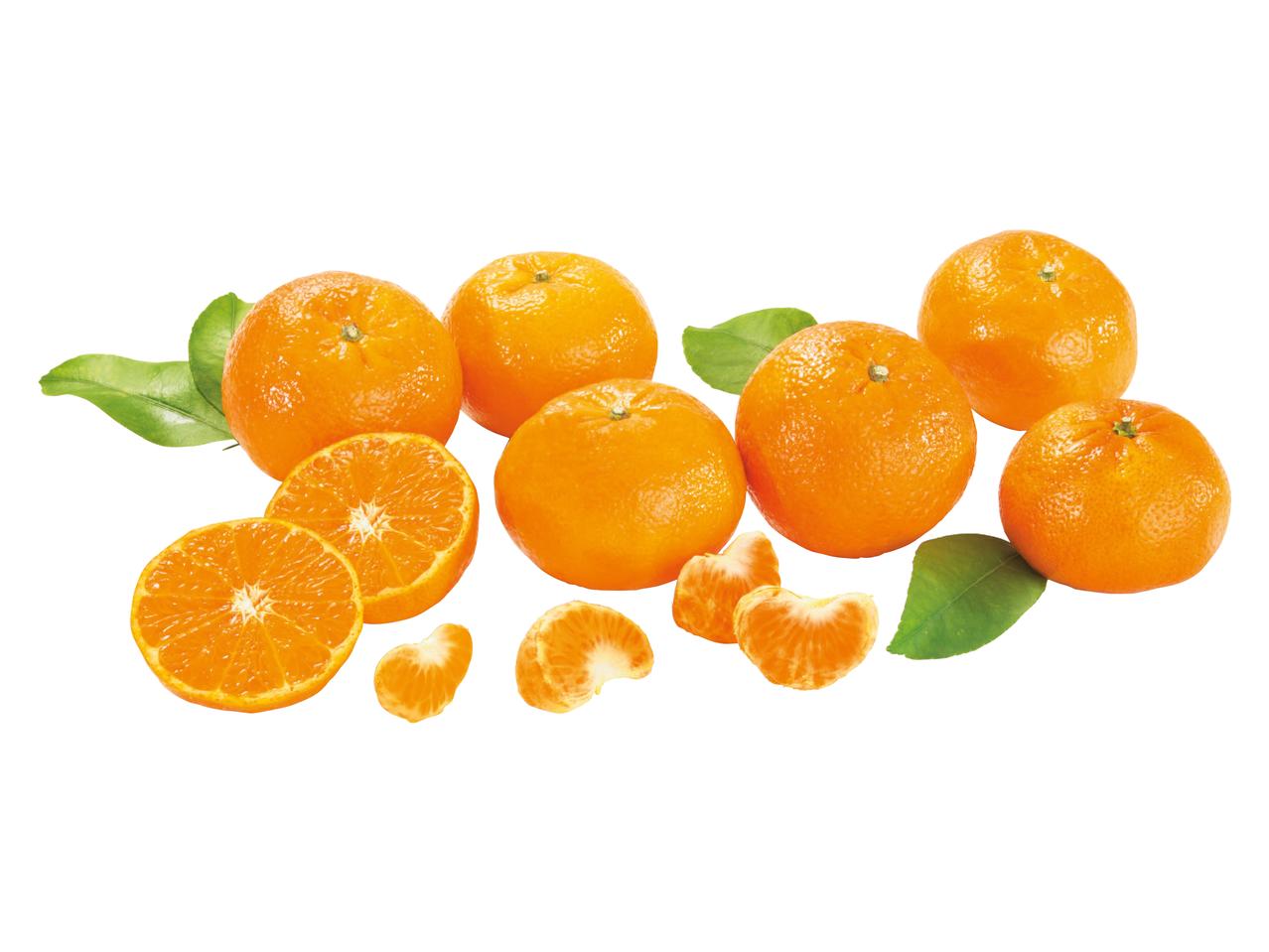 Clementine cu frunze