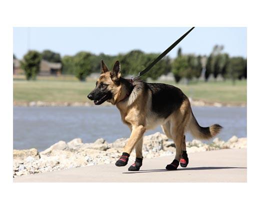 Heart to Tail 
 Pet Boots