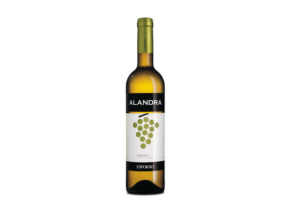 Vinhos selecionados ALandra(R)