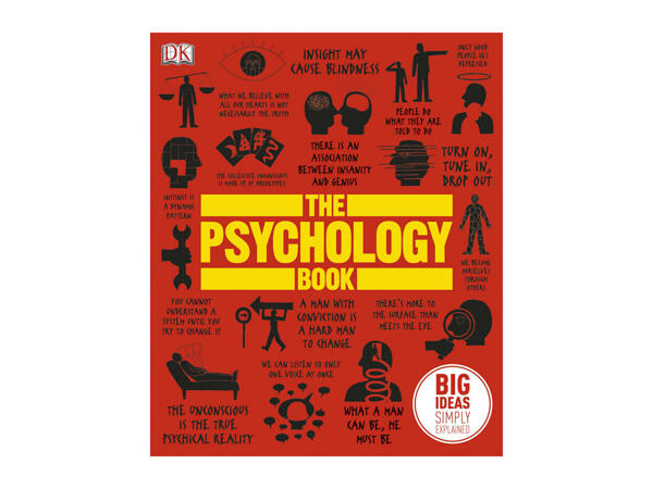 DK Big Ideas Simply Explained Book