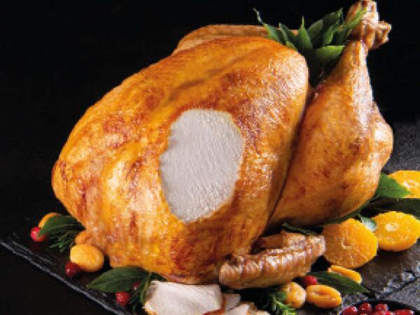 Organic free range Bronze Turkey in Giftbox