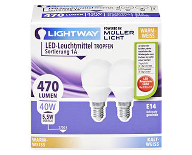 LIGHTWAY(R) LED-Leuchtmittel, 2er-Set