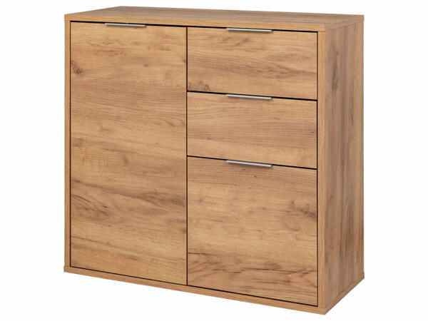 Cabinet with 2 Doors and 2 Drawers