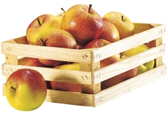 Pommes bicolores "Jonagored"